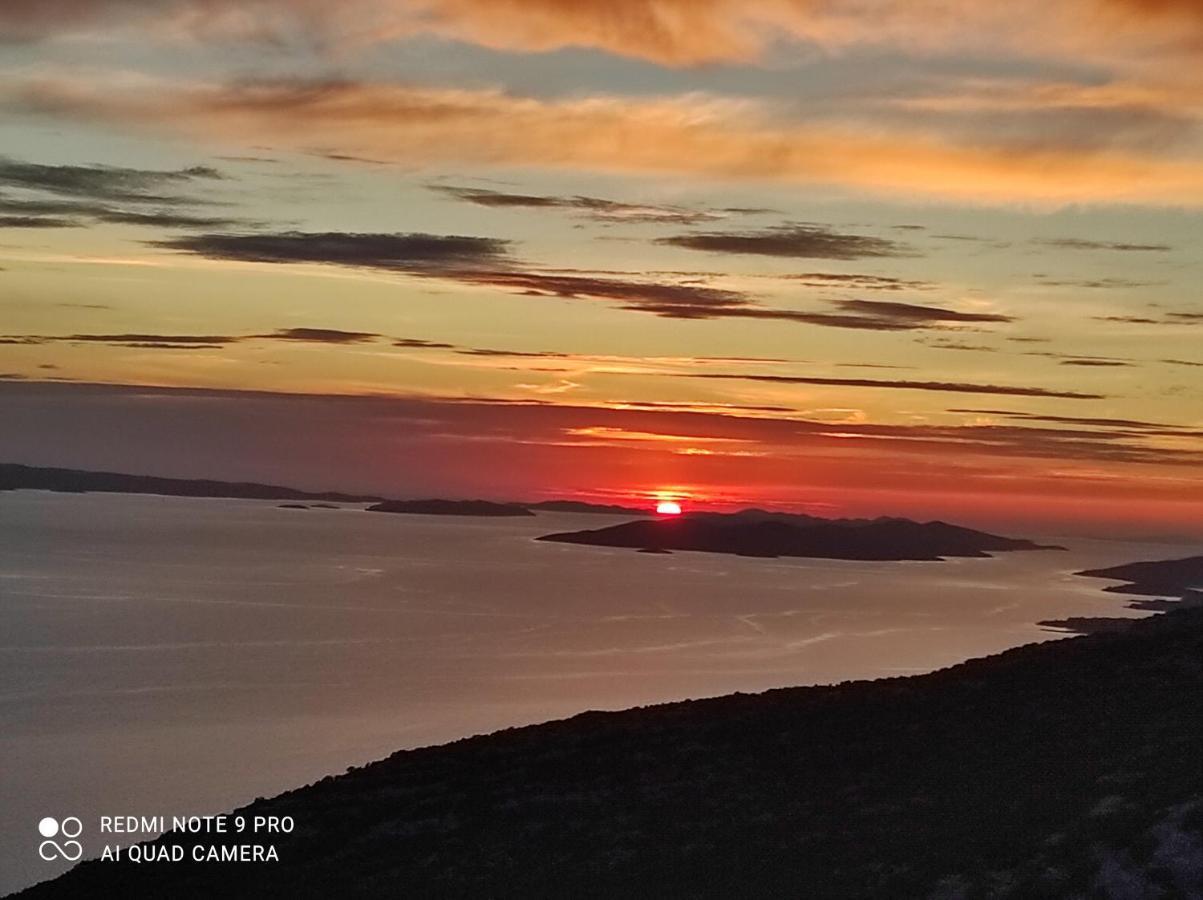 Podvrsina1A Rosa Villa Preko Bagian luar foto