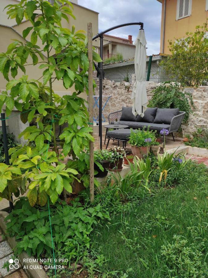 Podvrsina1A Rosa Villa Preko Bagian luar foto