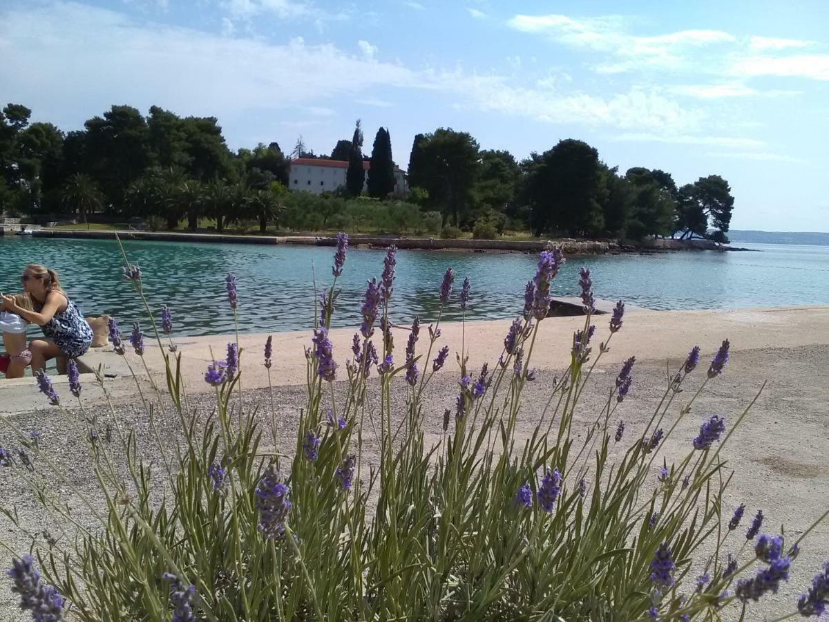 Podvrsina1A Rosa Villa Preko Bagian luar foto